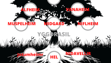 Photo of What are the nine realms of Norse mythology?-Yggdrasil Tree
