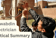 Photo of Nawabdin Electrician Summary and Analysis by Daniyal Mueenuddin