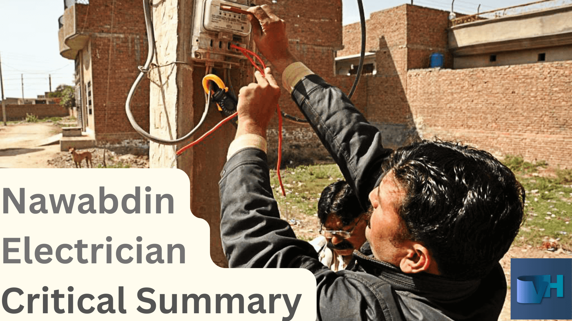 Nawabdin Electrician Summary and Analysis by Daniyal Mueenuddin