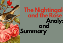 Photo of The nightingale and the Rose Analysis and Summary(Oscar Wilde)