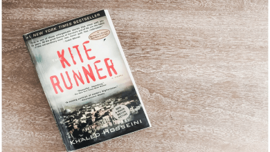 Photo of The Kite Runner Themes and Quotes-Complete Analysis