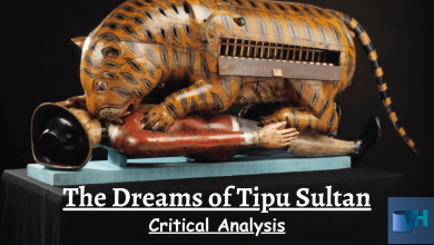 Photo of The Dreams of Tipu Sultan Critical Analysis and Themes