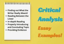 Photo of 3 Critical Analysis Essay Examples (Literary Analysis)