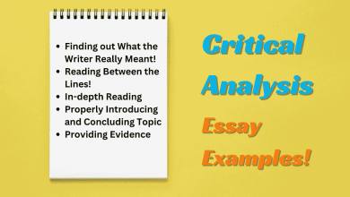 Photo of 3 Critical Analysis Essay Examples (Literary Analysis)