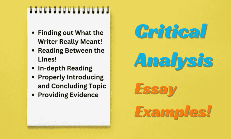 Critical Analysis Essay Example